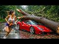 Best Instant Regret Fails Compilation 2026 | TOTAL IDIOTS AT WORK | Epic Funny Fails #27