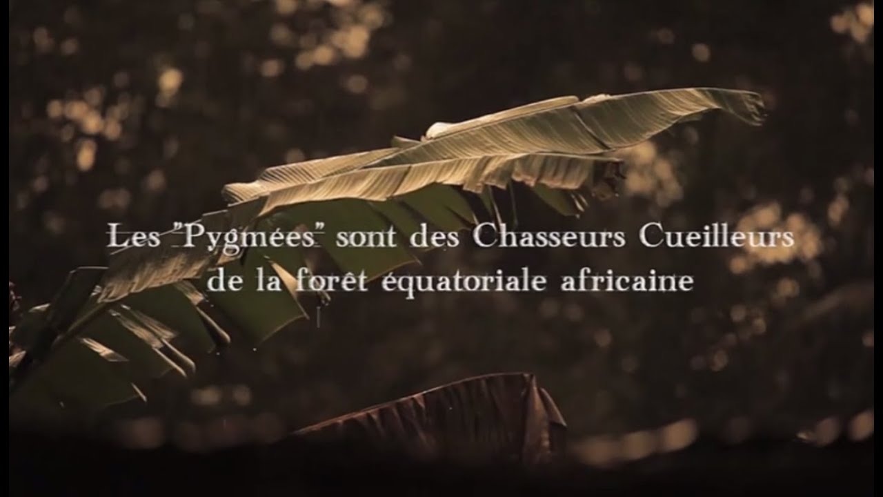 Pygmées Baka, le grand virage