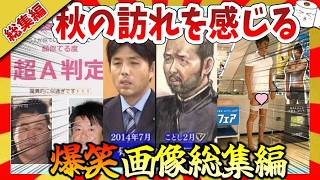 【🔥爆笑：総集編】サンマの美味しい季節は面白画像＆映像集！ガルちゃんまとめ/2ch