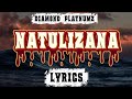 Diamond Platnumz- Natulizana ( Lyrics Video Music )