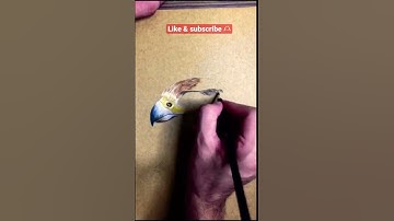 Draw realistic hawks 🤩🔥🤩🔥 #youtubeshorts #art #shorts 🔥🤩🔥🤩🔥🔥🔥🔥🤩🤩