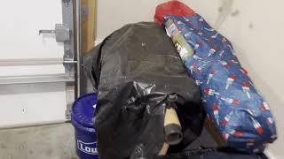Detailed ford Ranger v8 swap information and 1994 mustang build list
