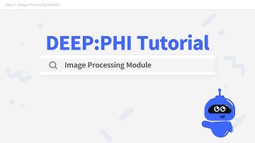 DEEP:PHI Tutorial 5 - Image Processing Module