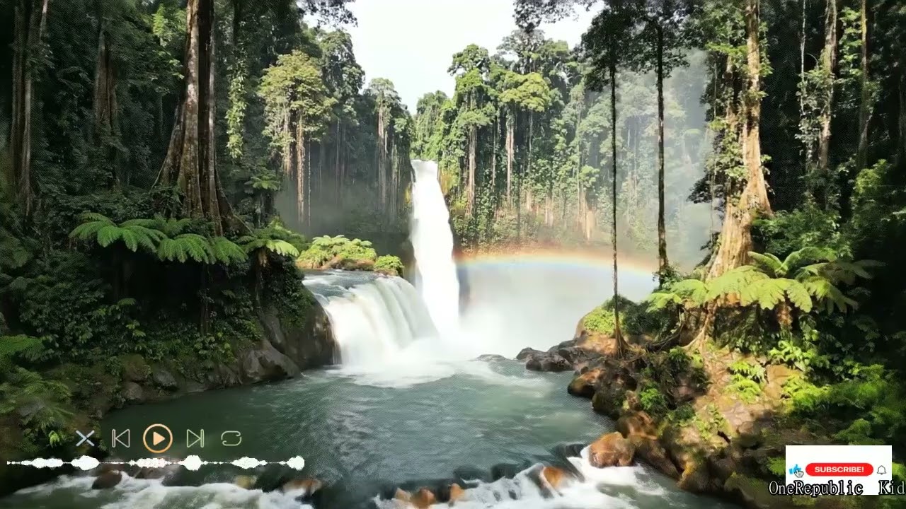 The Timeless Power of Chamber Music for Tranquility, Reflection, and Classical Joy