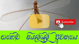 meruwage awasanaya saha wasi lakunu
