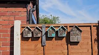 Bees In Our Garden Bee Hotels