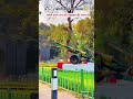 Ye khowaja ka desh hai iska name hai hindustan #highlights #vlog #motivation #javedvlog78