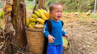 Single mother: harvest bananas to bring to market - complete main door & wooden wall