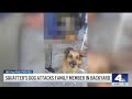 Man says squatter, dog attack keep him out of his own LA rental property