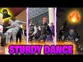 Sturdy dance v12   tiktok compilation