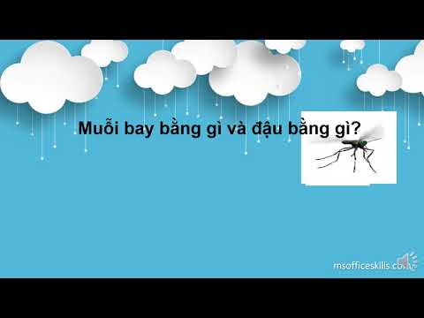 [TNXH 1] Bài 27+28: Con mèo. Con muỗi - Tuần 27