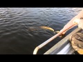 Slow motion pike release