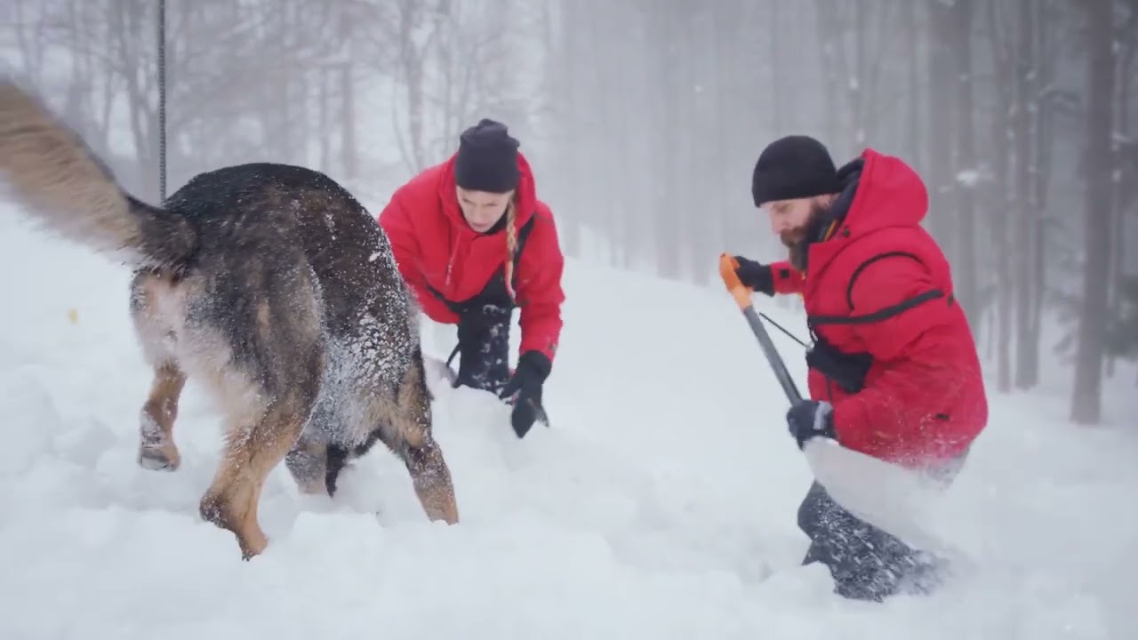 New Updates on Missing Geologist Daniel Robinson