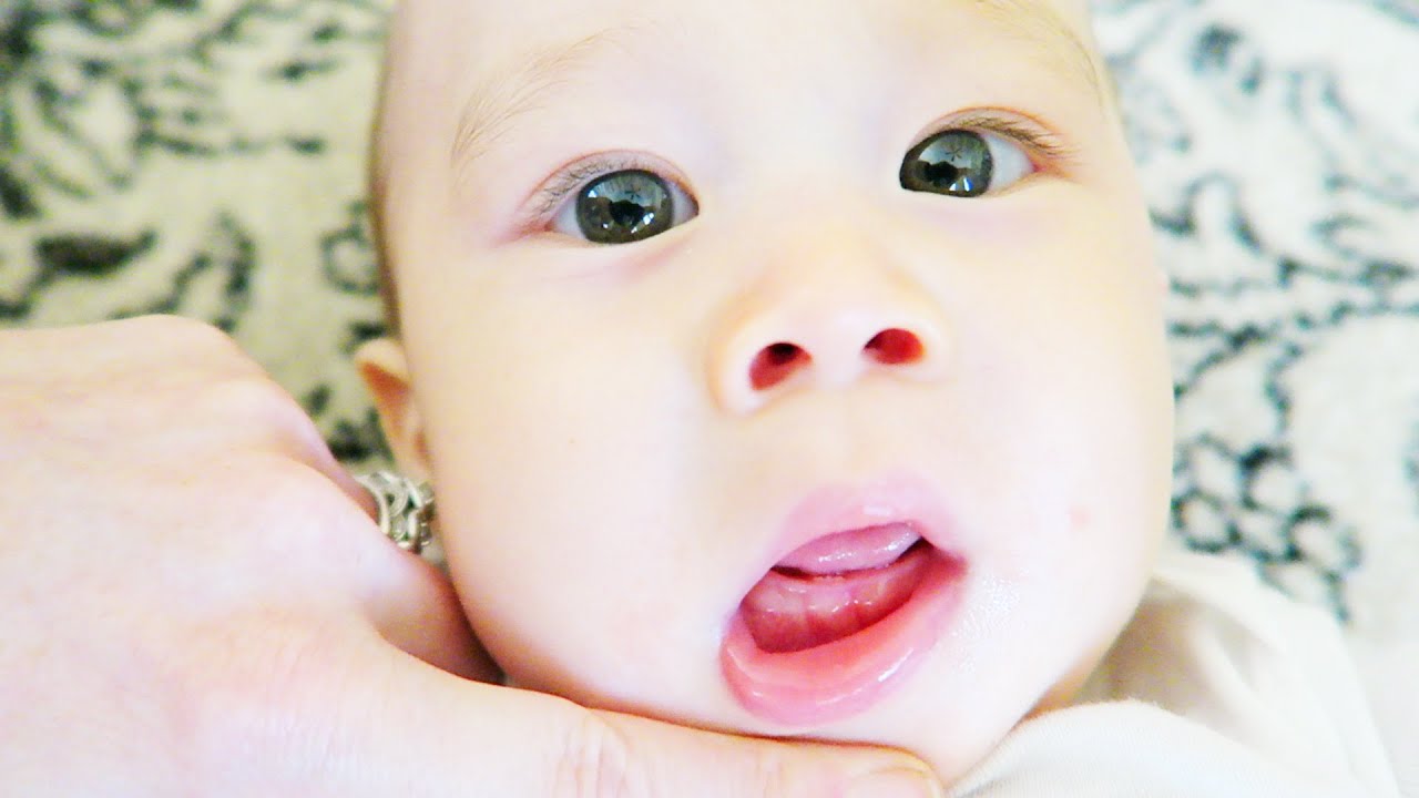 When Do Babies Develop Their First Teeth?