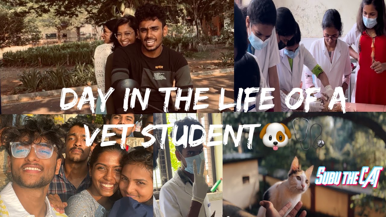 Day in the life of VET STUDENT🩺 Vet vlog COVAS ,Thrissur ! YouTube