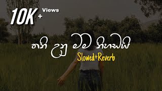 Nihandai Thamath - නිහඬයි තාමත් (Slowed Reverb)