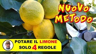 POTARE IL LIMONE SOLO 4 REGOLE