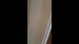 Irish Uncle loses his soup
