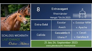 Lot Nr. 8 Extravagant v. Extra Gold - Cascadello II