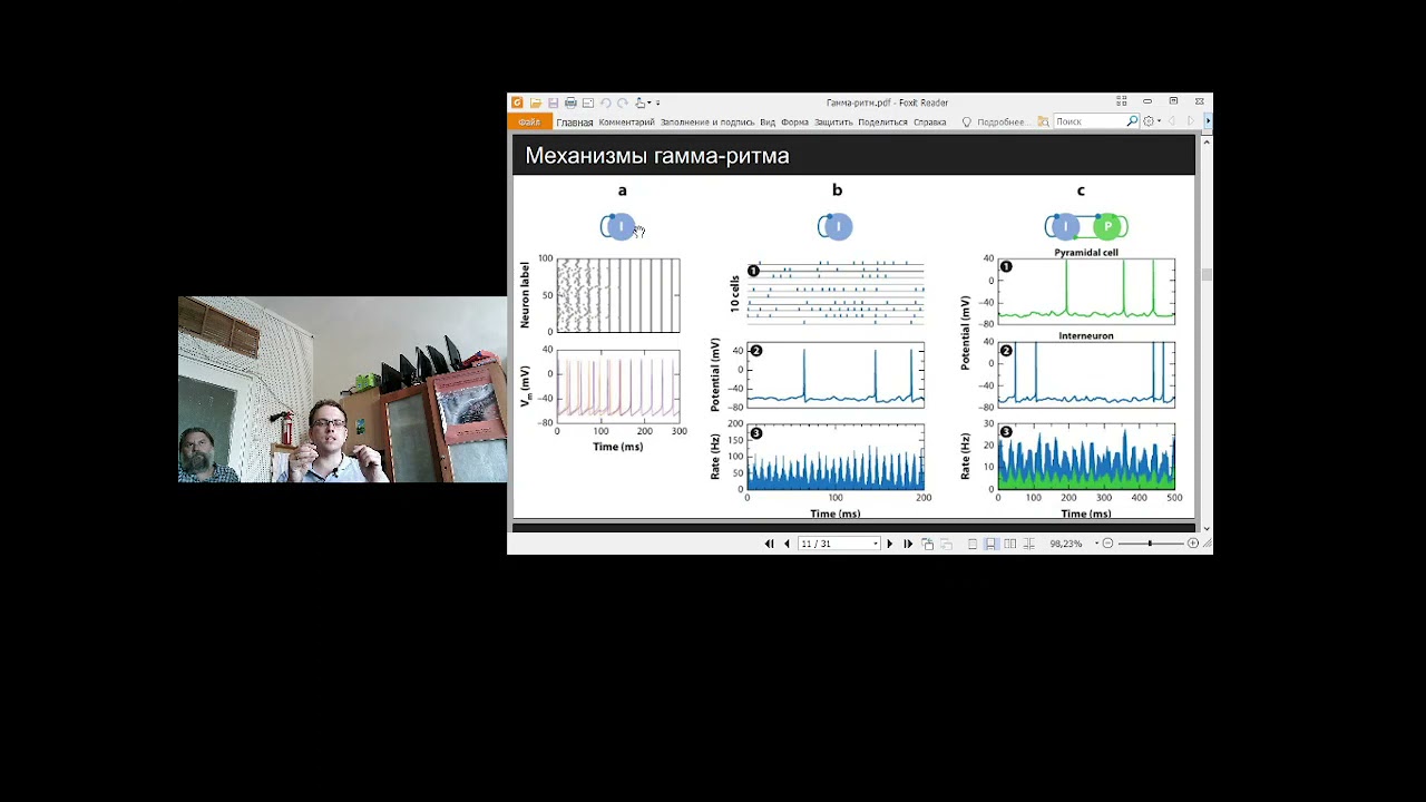Гамма ритм гиппокампа