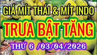 GIÁ MÍT THÁI & MÍT INDO RUỘT ĐỎ TRƯA NGÀY THỨ SÁU/ 03/04/2026|Giải Trí Miền Tây