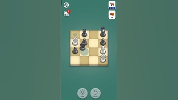 Level 295 - Pocket Chess