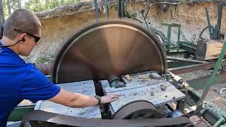 Is rotten pine worth milling?