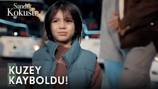 Kuzey kayboldu! | Sandık Kokusu 1.Bölüm