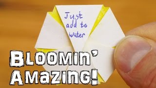 Just Add Water - Blooming Flower Trick