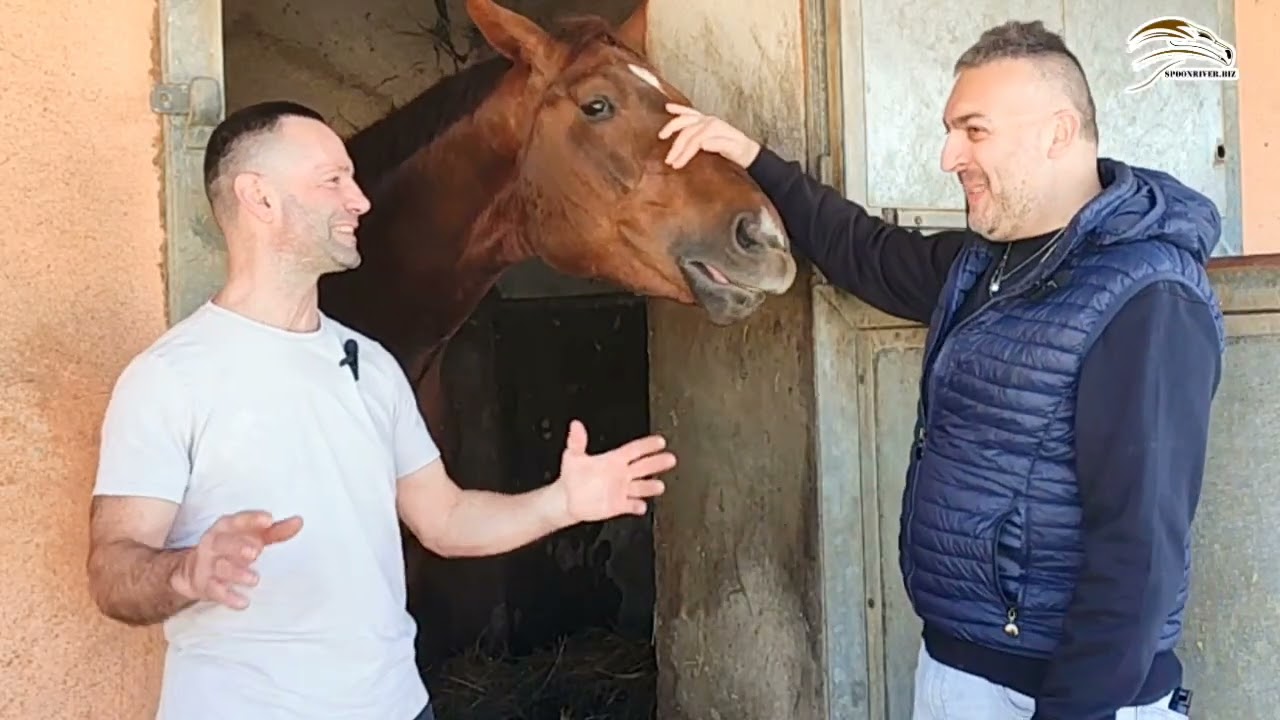 𝗥𝗢𝗔𝗗 𝗧𝗢 𝟭𝟬𝟬° 𝗗𝗘𝗥𝗕𝗬 - 1° Ep. 𝐀𝐍𝐓𝐎𝐍𝐄𝐋𝐋𝐎 𝐅𝐀𝐃𝐃𝐀: le 7 vittorie nel Derby Sardo e i suoi fondo arabo...