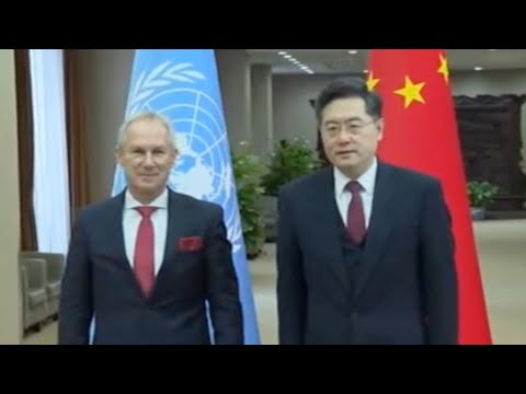 Chinese fm meets with unga president