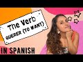 Conjugating the Verb 'Querer' in Spanish