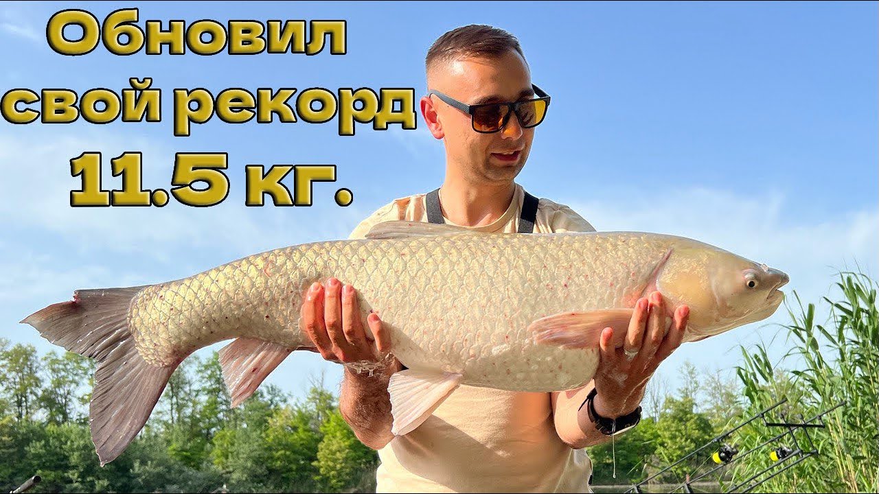 Цирюльник на золотой ниве