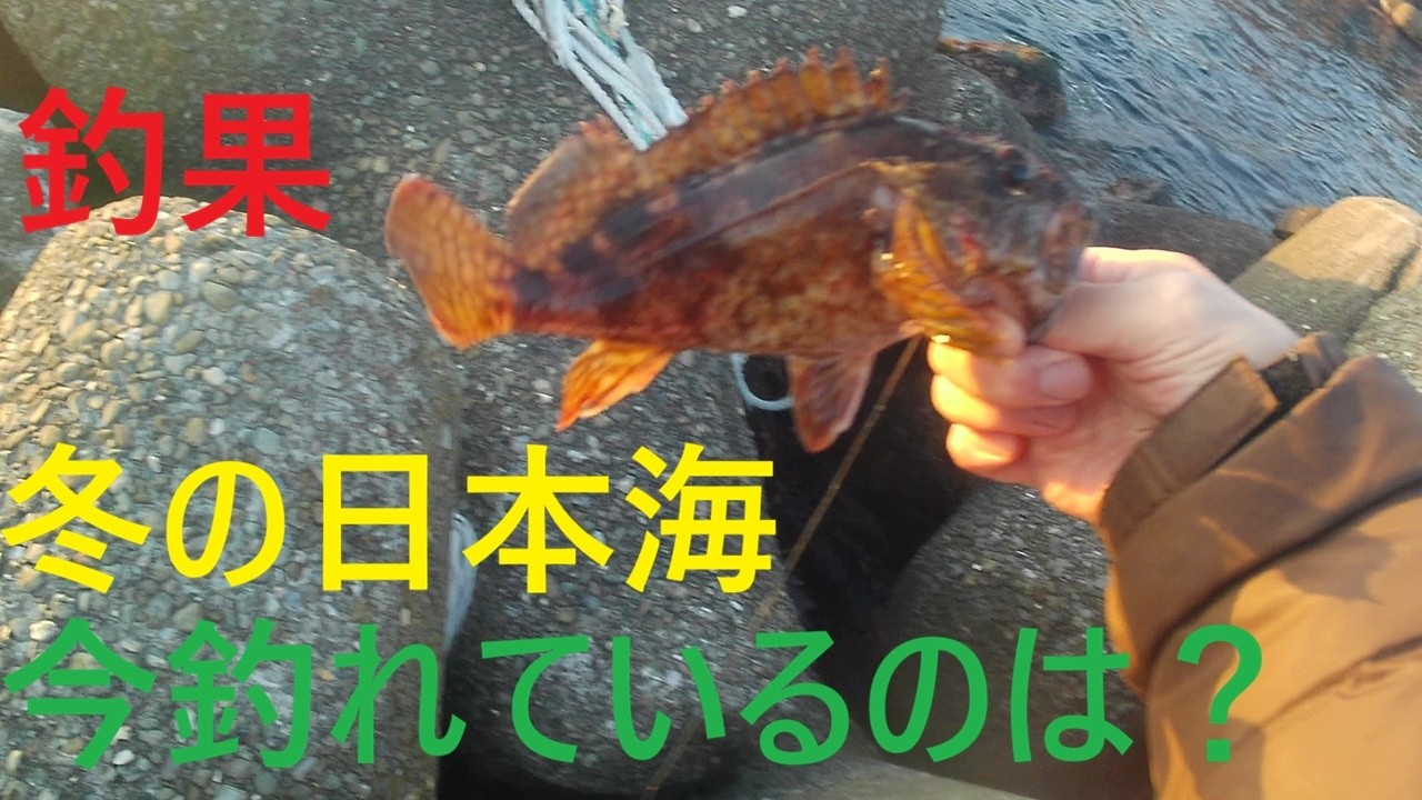 冬の日本海　何が釣れてるの？