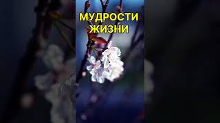 Мудрые слова #мудрыеслова #психология #шортс #саморазвитие #успех #вдохновение #мотивация