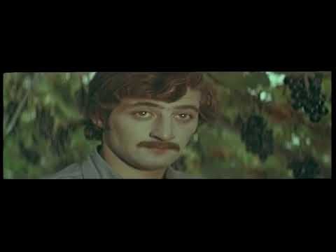 \"რაჭა,  ჩემო სიყვარულო\" - ულვაშებიანი კატა (racha chemo sikvarulo)