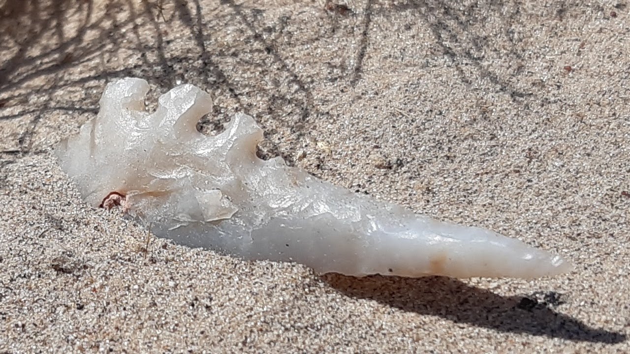 32 ARROWHEAD HUNTING DIVINE 