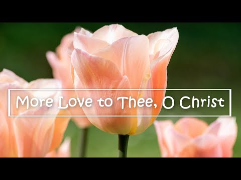 Instrumental Hymns, Worship - More Love to Thee