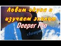 ЛОВИМ ОКУНЯ И ИЗУЧАЕМ ЭХОЛОТ Deeper Pro (Часть 1)