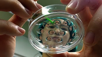 Stem cells produced from cloning technique