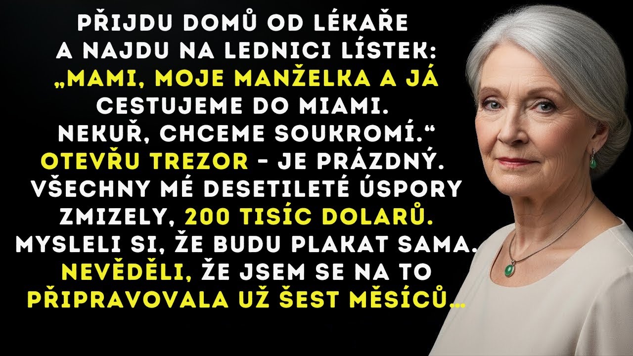 Můj syn a snacha odletěli do Miami. Moje peníze byly ukradeny. Obrovské „překvapení“ je na letiš