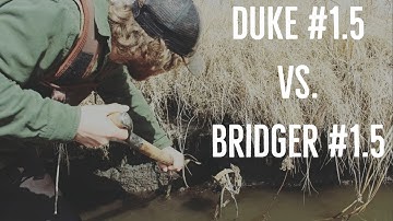 Duke #1.5 vs. Bridger #1.5 for Coon and Mink Trapping