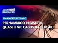 Pernambuco registrou quase 3 mil casos da dengue e uma morte este ano