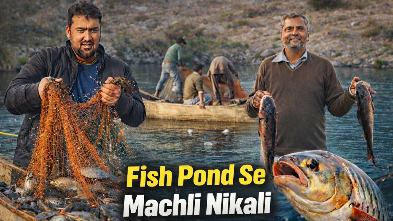 Fish Farming Business in Pakistan 2026 | Fish Farming Mein Kitna Profit Hai?