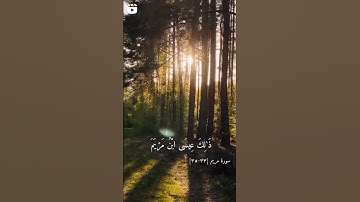 وَالسَّلَامُ عَلَيَّ يَوْمَ وُلِدْتُ وَيَوْمَ أَمُوتُ وَيَوْمَ أُبْعَثُ حَيًّا ﴿ ٣٣ ﴾ سورة مريم
