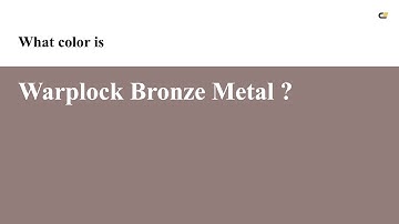 Warplock Bronze Metal color #927d7b hex color - Brown color - Cool color 927d7b