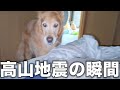 【地震発生の瞬間】地震が怖すぎて愛犬の震えが・・・