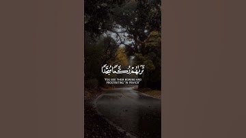 سورة الفتح مشاري العفاسي