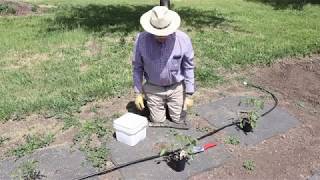 Gopher Proofing Your Garden