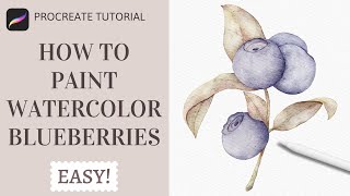 How to Paint Watercolor Blueberries in Procreate | Realistic Watercolor Fruit Procreate Tutorial